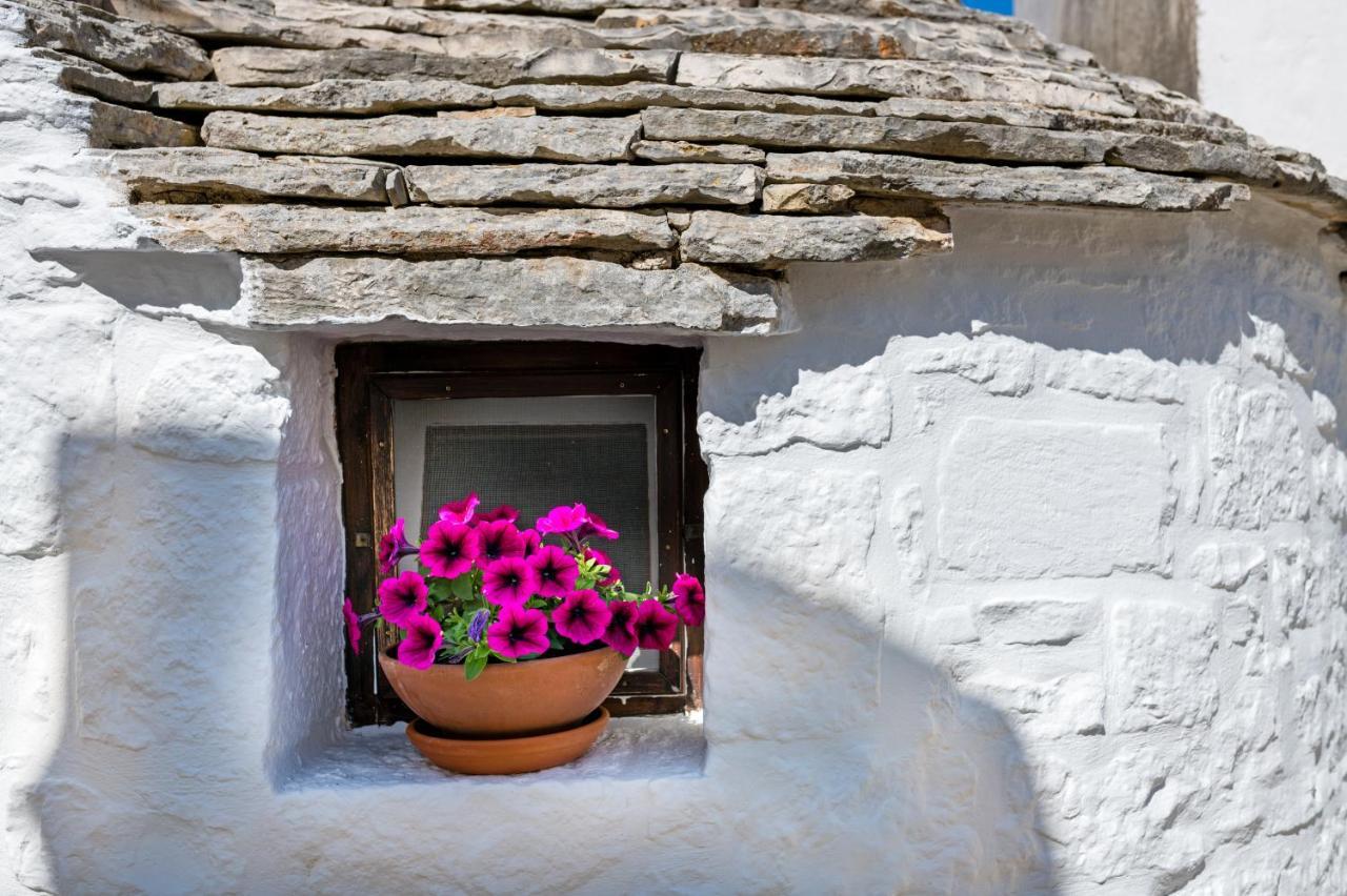 Trullo 11 Βίλα Αλμπερομπέλο Εξωτερικό φωτογραφία